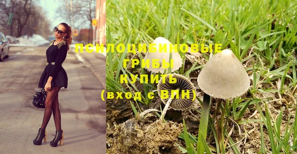 прущая мука Вязники