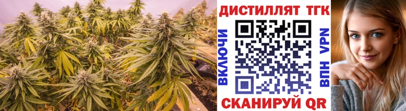 ТГК Wax  Заозёрный 