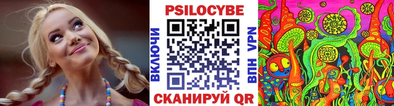 что такое   Заозёрный  ОМГ ОМГ ТОР  Галлюциногенные грибы MAGIC MUSHROOMS 
